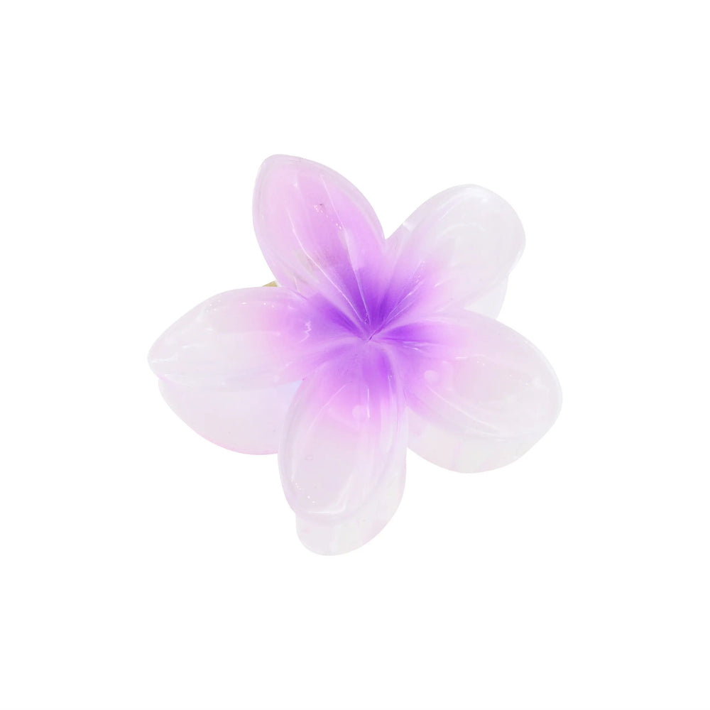 Hårklemme, blomst, flere farver Express