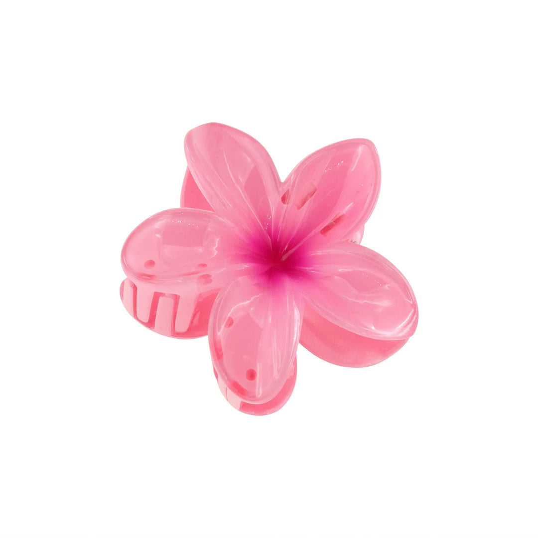 Hårklemme, blomst, flere farver Express