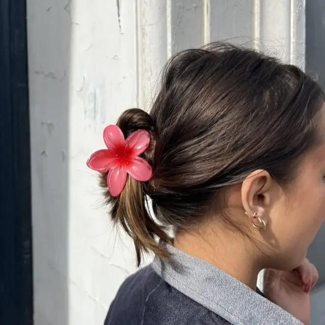 Hårklemme, blomst, flere farver Express